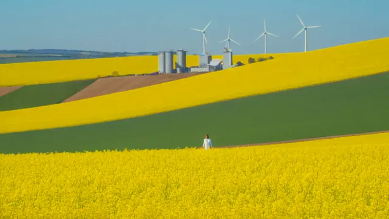 Industria y naturaleza conviven en armonía