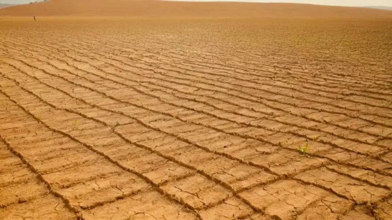 Figura solitaria contempla el inmenso campo cultivado